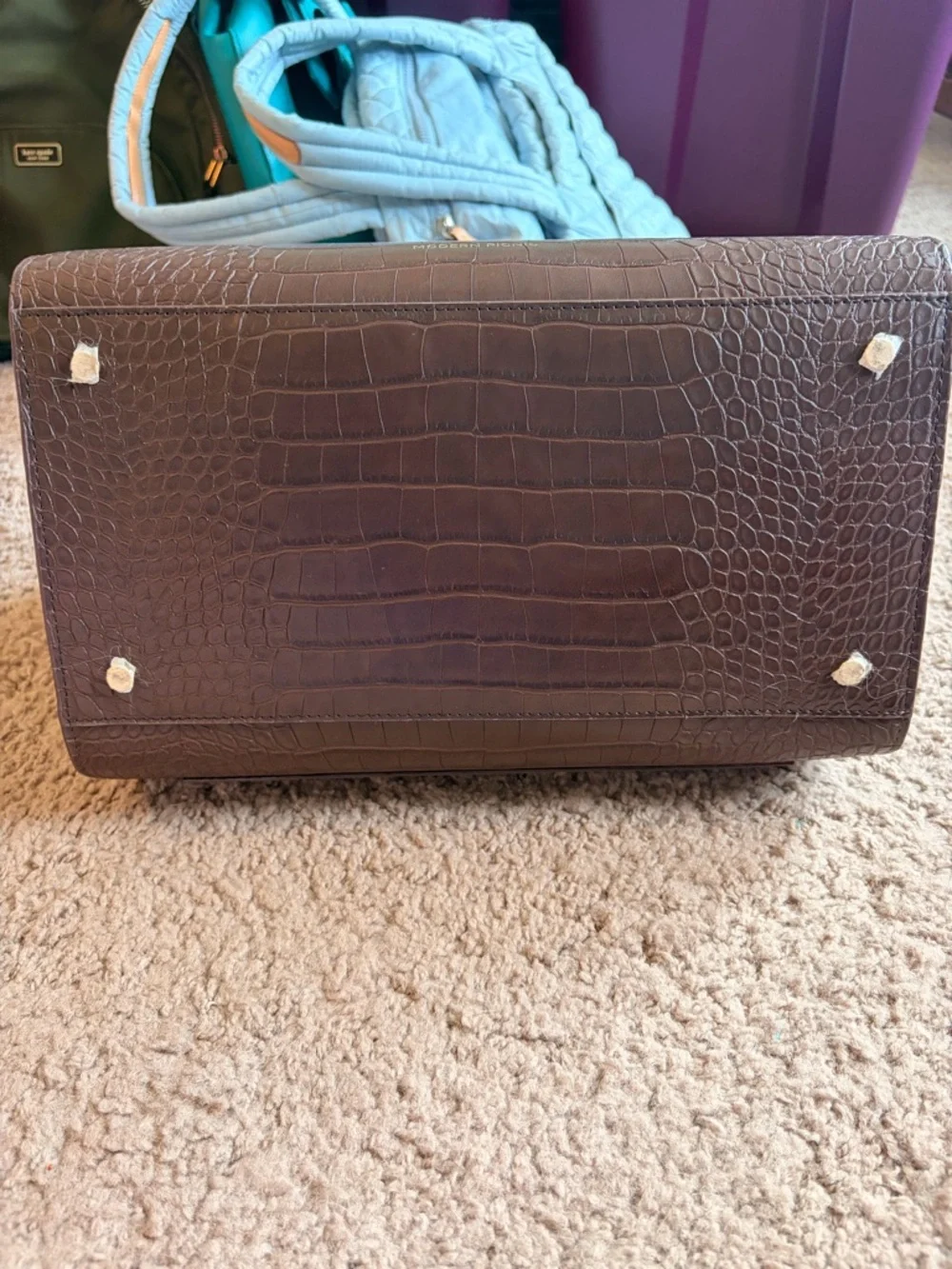 Modern Picnic elegant croc